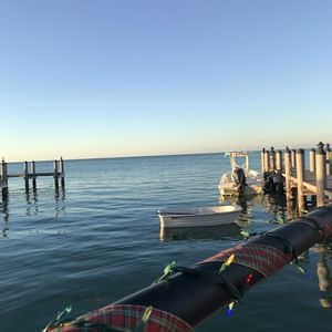 Meet your Posher, Roslyn